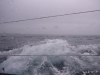 20100724_HenrykeVII_0001 20100724_HenrykeVII_0001