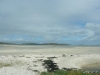 20100727_HenrykeVII_0015 20100727_HenrykeVII_0015