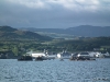 20100729_HenrykeVII_0051 20100729_HenrykeVII_0051