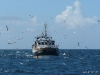 20100805_HenrykeVII_0007 20100805_HenrykeVII_0007
