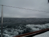 20100806_HenrykeVII_0018 20100806_HenrykeVII_0018