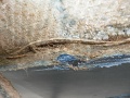 p1040180